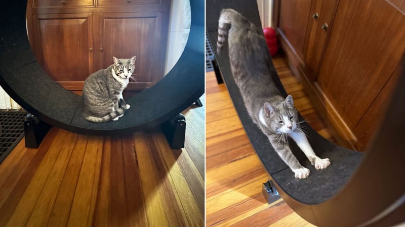 Kansas Town Lands 140 Jobs with New Baking Facility - Image 4