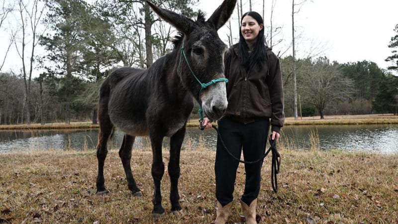 Hope the donkey with owner Hannah Frost displaying Guinness World Record certificate for longest ears