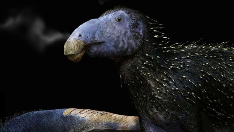 Spiny Dragon' Fossil Rewrites Dinosaur Skin Science