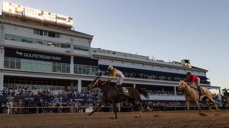 7-Year-Old Horses Finish 1-2 in $3M Florida Race - Image 3