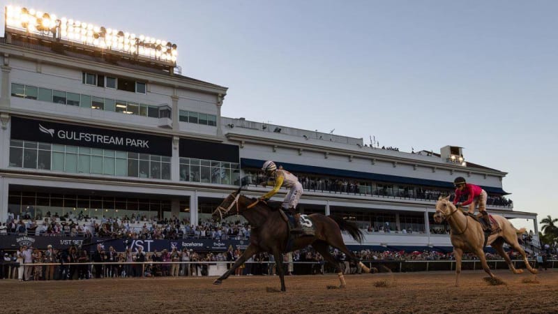7-Year-Old Horses Finish 1-2 in $3M Florida Race