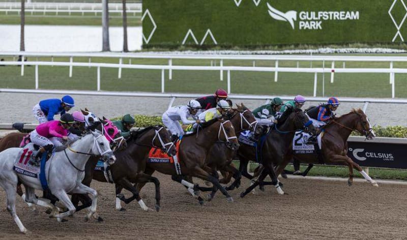 7-Year-Old Horses Finish 1-2 in $3M Florida Race - Image 4