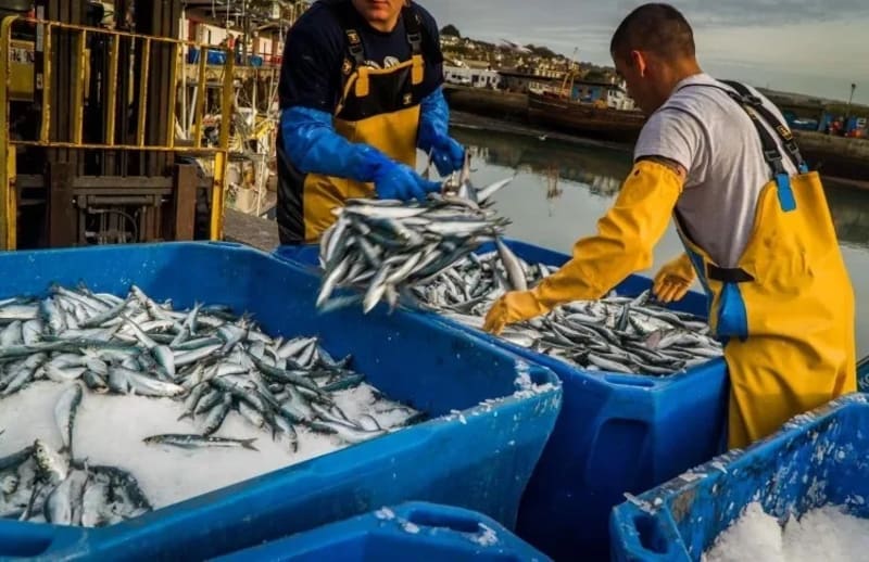 Fishing boats docked at Moroccan coastal port with clear blue waters ahead