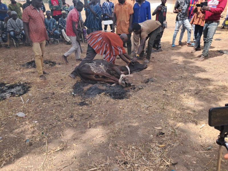 Ghana Village Ends Deadly Conflict With Peace Ceremony