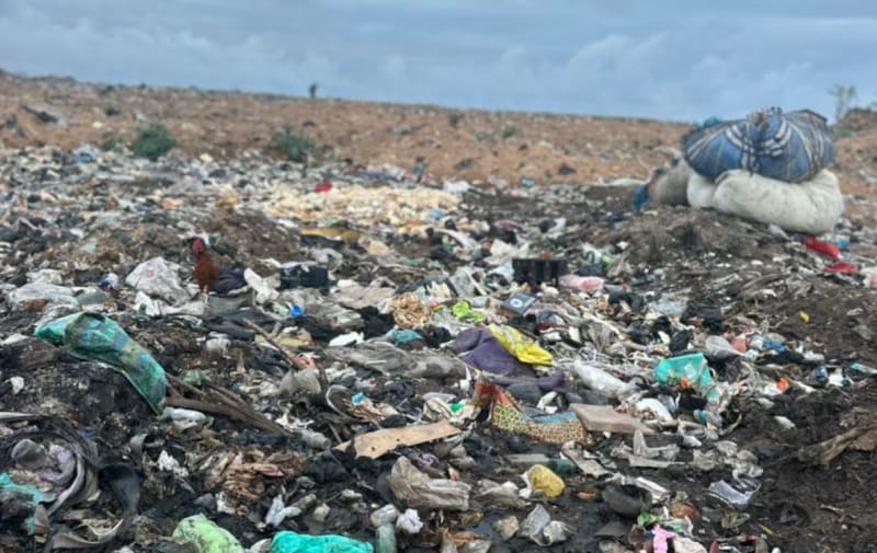 Ghana Startup Turns Trash Into Climate Jobs and Cash