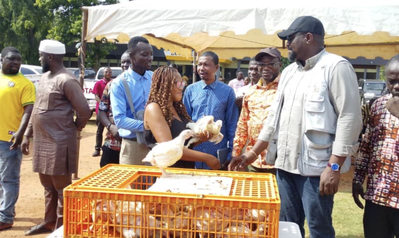 Ghana Delivers 110,000 Chickens to Boost Local Farming