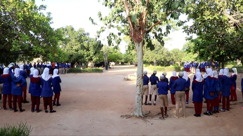 Dense canopy of mature trees surrounding T.I. Ahmadiyya School campus in Wa, Ghana