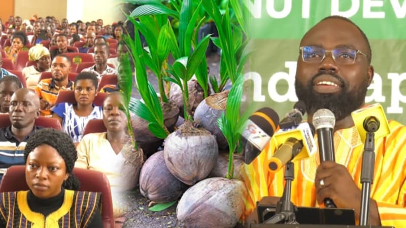 Ghana Trains 500 Coconut Farmers to Double Production by 2028