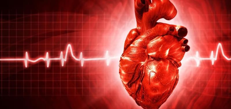 Heart Health Made Simple: 5 Numbers Could Save Your Life