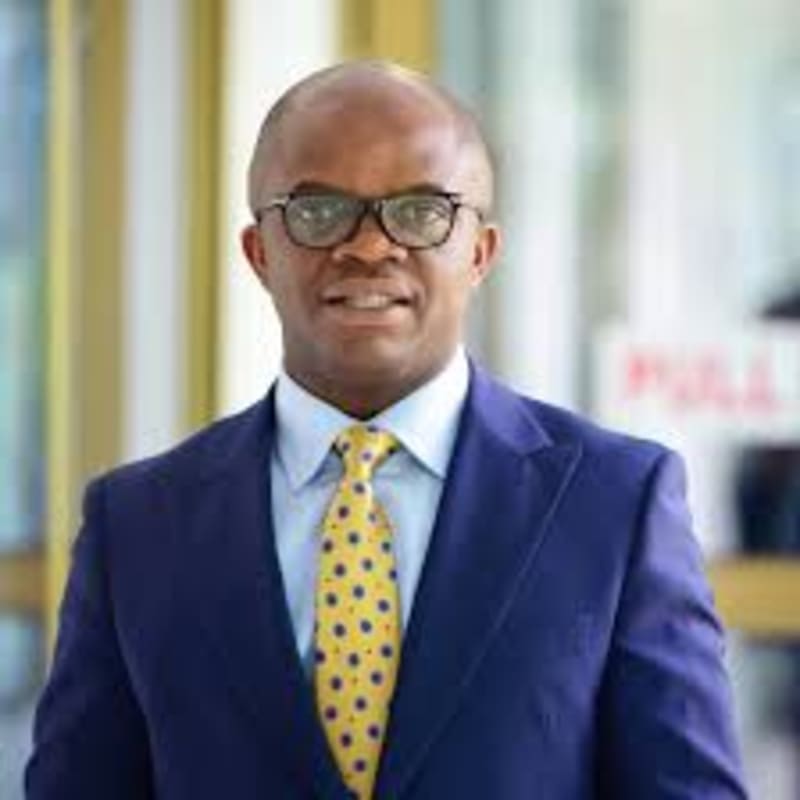 Ghana's NPP Primary Shows Democracy Can Be Peaceful