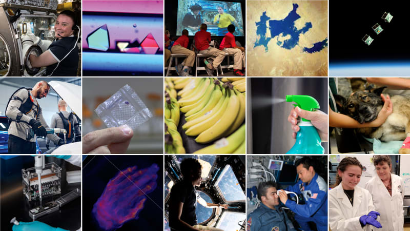 International Space Station Celebrates 25 Years of Unity and Discovery - Image 5