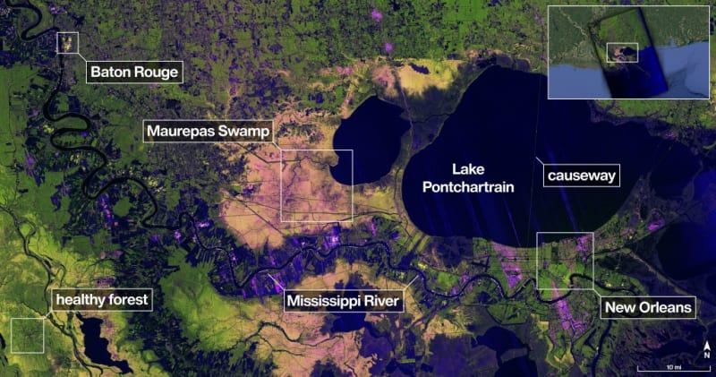 NASA Satellite Sees Through Clouds to Map Louisiana Wetlands - Image 3