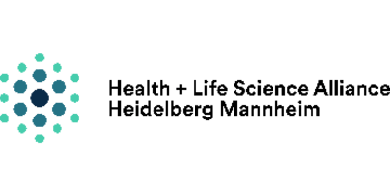 Veronika the Cow Uses Tools to Scratch Herself - Image 5