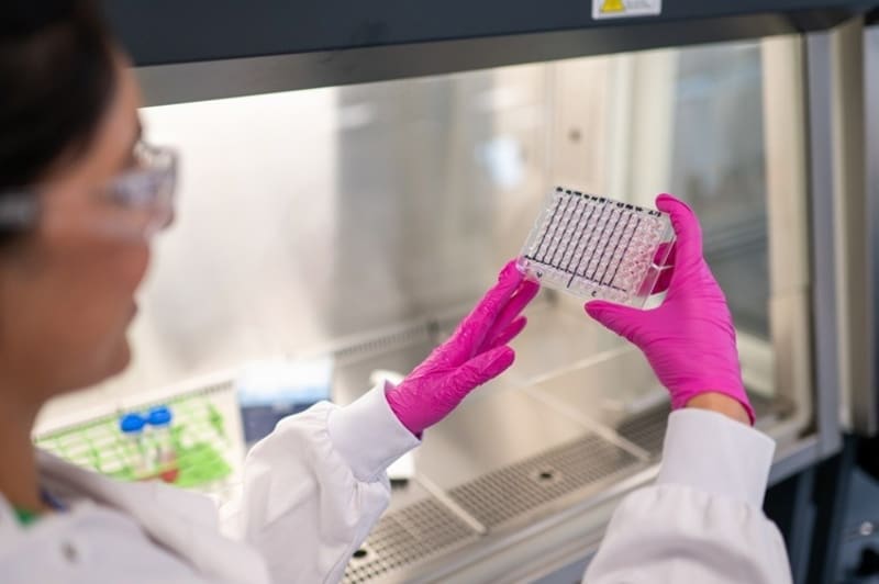 Scientists Fast-Track hMPV Vaccine After Breakthrough Challenge Study Success