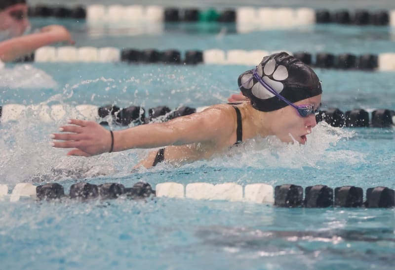 NJ Swim Team Sheds Underdog Label, Wins State Title - Image 3