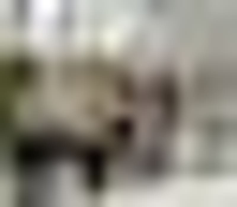 10-Year-Old Aces Exams Meant for 16-Year-Olds in NZ - Image 4