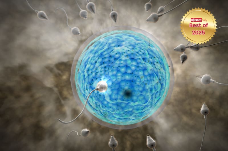 Scientist holding medication pill bottle in modern laboratory representing breakthrough male contraceptive development and reproductive health innovation