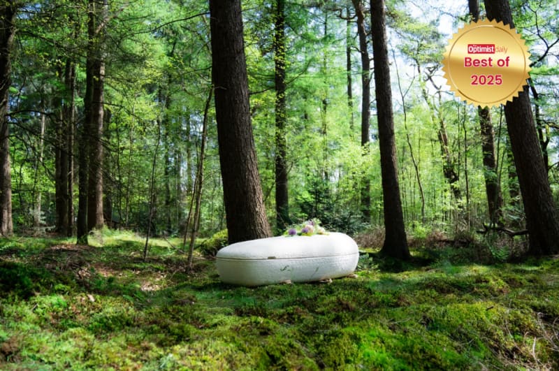 Innovative Mushroom Caskets Offer Eco-Friendly Final Journey in Groundbreaking North American Burial