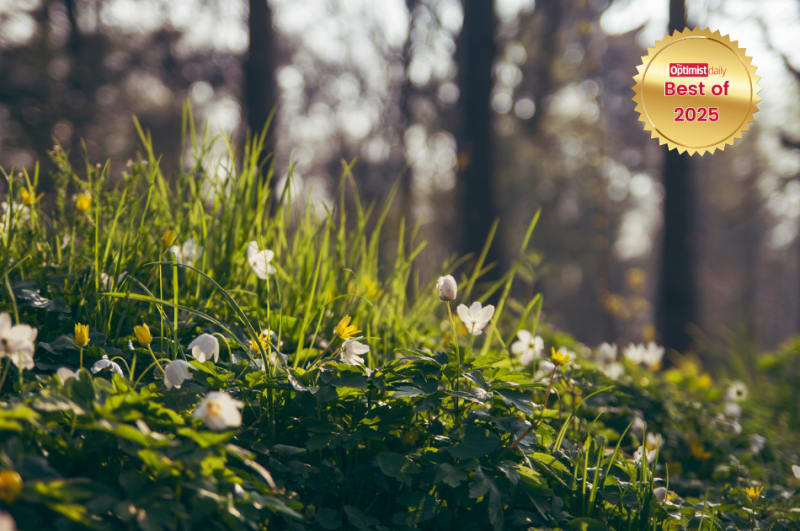 Bloomberg Champions Climate Action: Philanthropist Funds Critical UN Climate Efforts