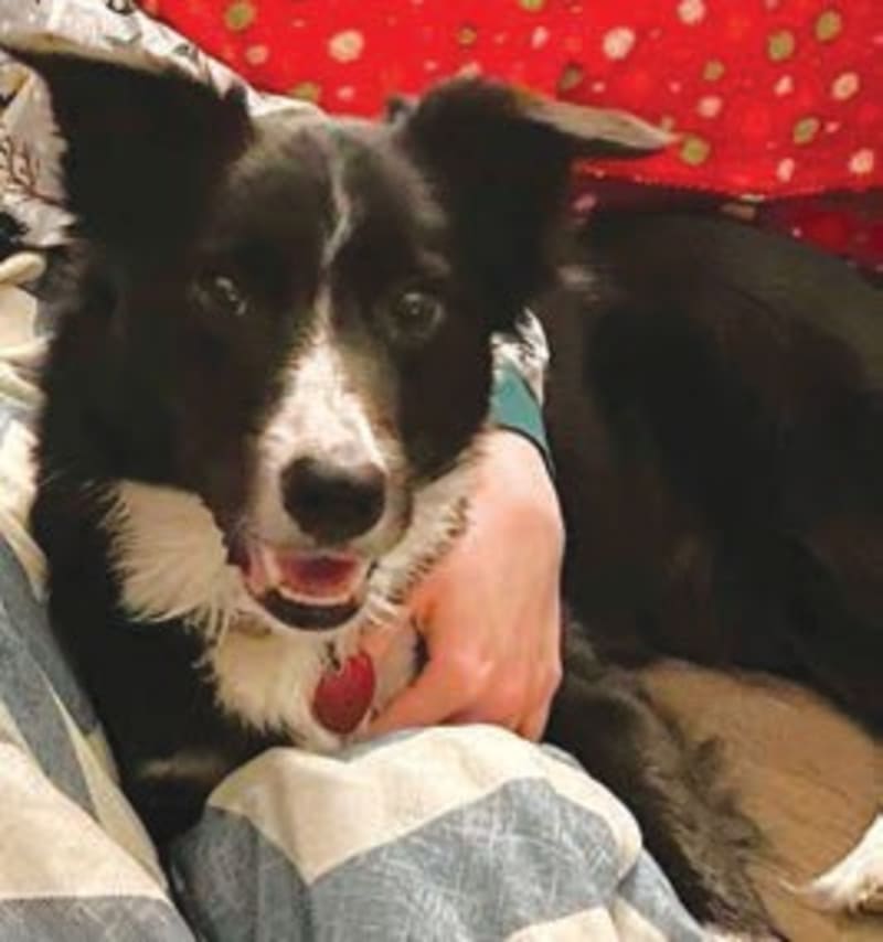 Teen Saves Family From House Fire in Plymouth, Wisconsin - Image 4