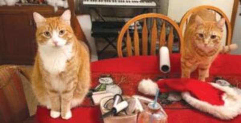 Teen Saves Family From House Fire in Plymouth, Wisconsin - Image 5