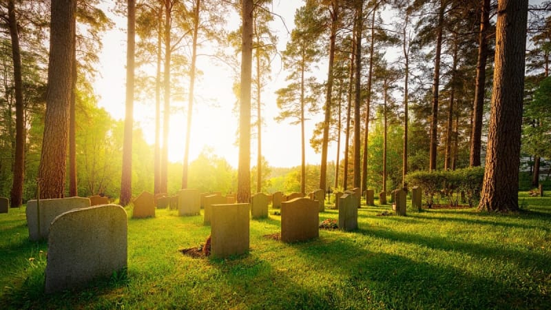 The Ultimate Green Goodbye: How Your Final Resting Choice Impacts Earth