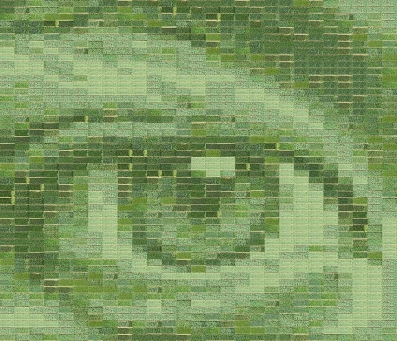 French Wheat Field Becomes World's Largest Living Photo