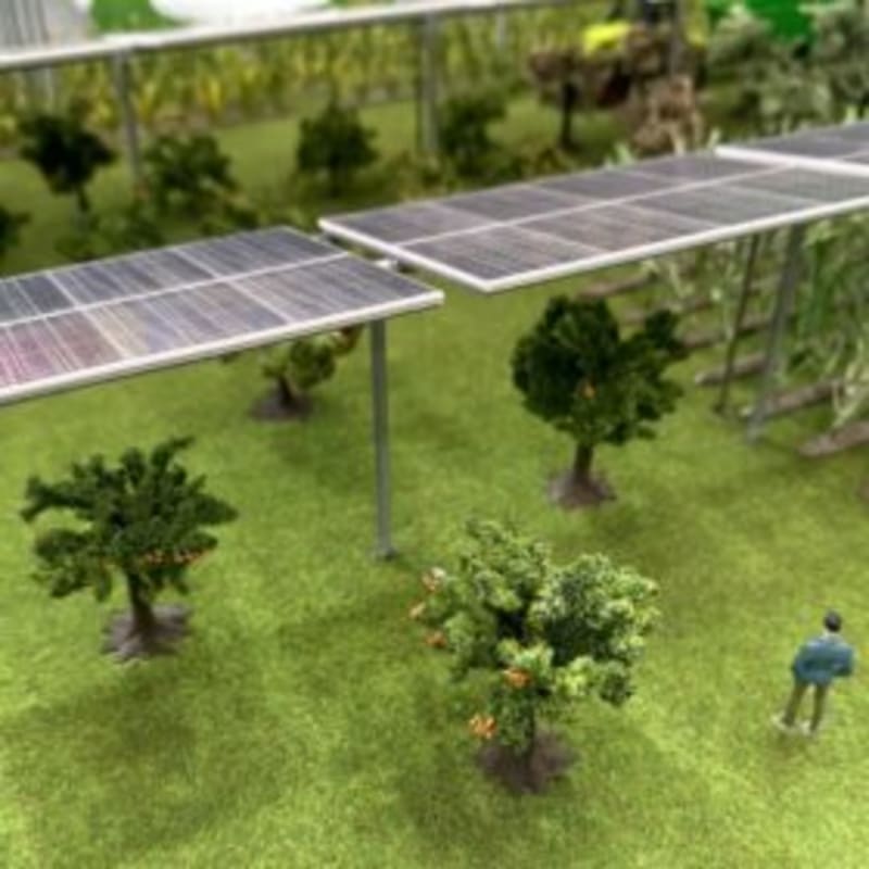 Solar Panels Over Crops Could Feed 2 Billion More People - Image 2