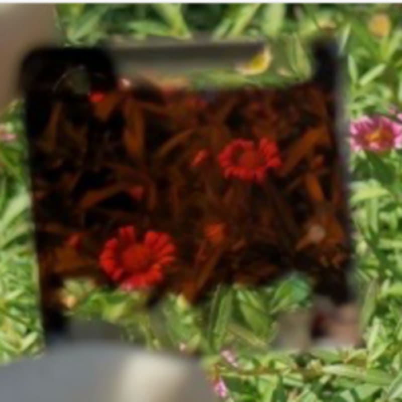 Scientists Make See-Through Solar Windows That Bend - Image 2