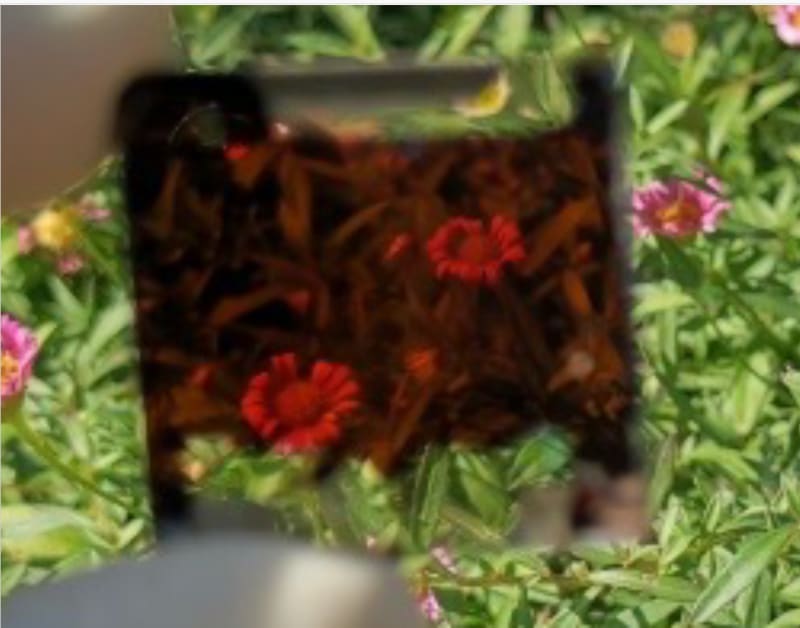 Scientists Make See-Through Solar Windows That Bend