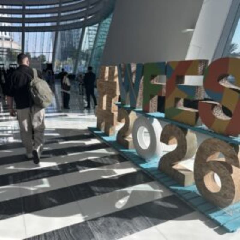 Middle East Solar Market Grows With Storage Push - Image 2