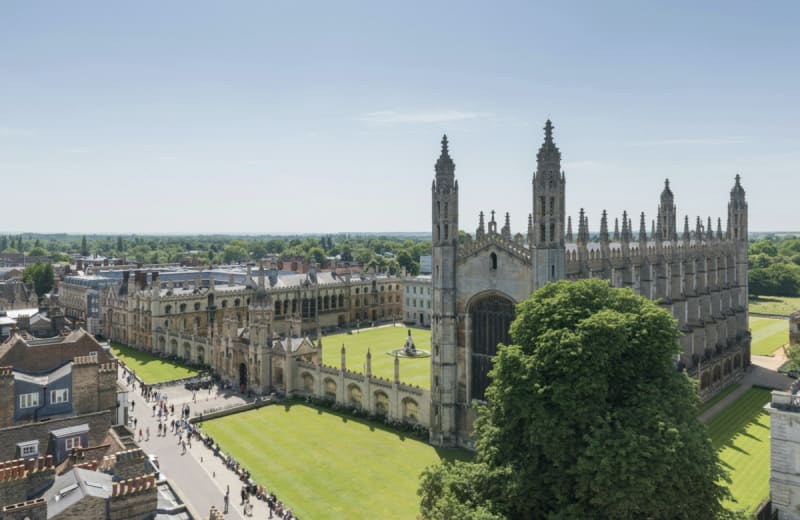 Scientists working with advanced flow battery technology and organic electrolyte solutions in modern laboratory setting