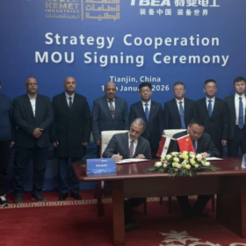 Egypt Gets $700M in Solar Factories from Chinese Partners - Image 2
