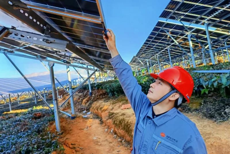 Solar panel arrays mounted above green terraced tea plantation fields in rural China