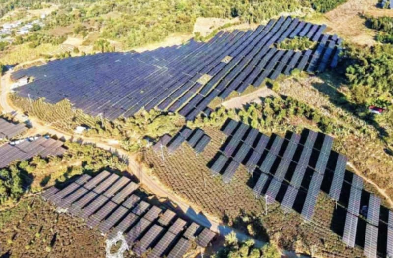 China's Tea Farms Now Grow Solar Power and Better Tea - Image 4