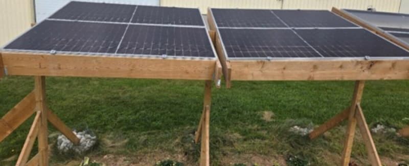 Solar Panels Boost Lettuce Yields 400% in Extreme Heat