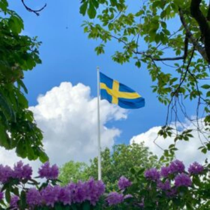 Sweden Installs 652 MW of Solar in Shift to Large Farms - Image 2