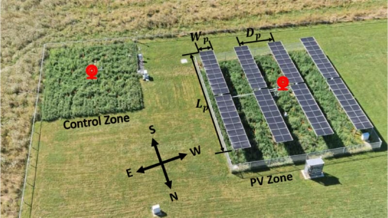Solar Panels 3+ Meters High Boost Crops and Energy Output