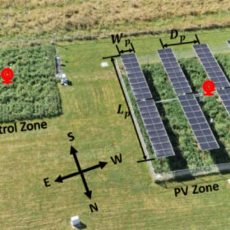 Solar Panels 3+ Meters High Boost Crops and Energy Output - Image 2