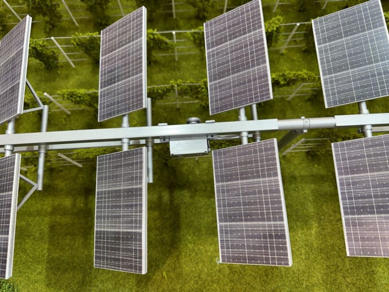 Solar Farms That Feed Europe's Crops and Grid