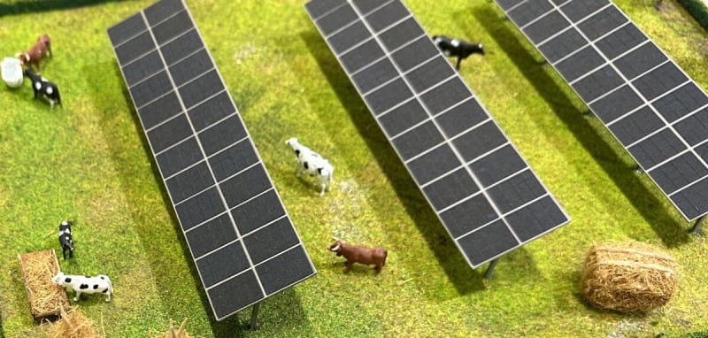 Solar panels mounted high above green farmland with crops growing underneath in sunlight