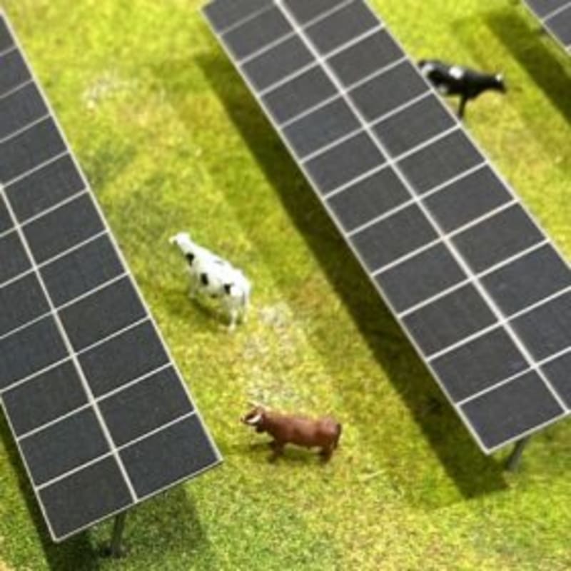 Solar Farms Can Grow Clean Energy and Healthier Soil - Image 2