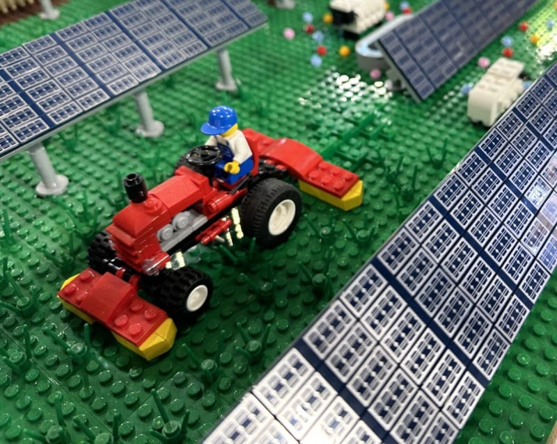 Farmers and Solar Panels Can Now Share Fields Successfully