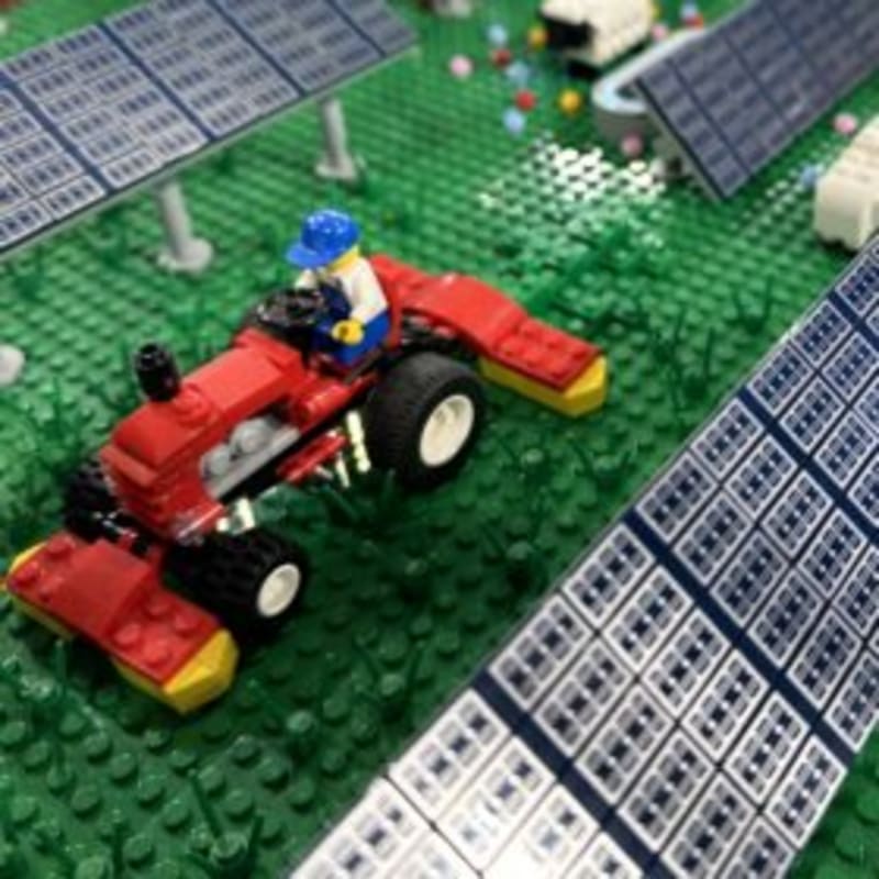 Farmers and Solar Panels Can Now Share Fields Successfully - Image 2