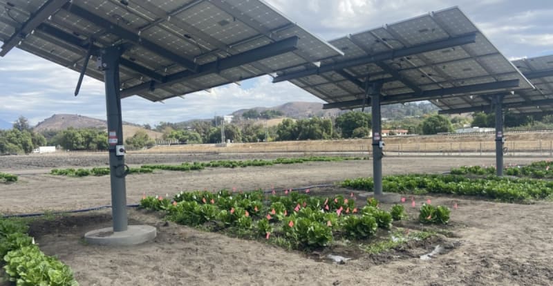 California Farm Combines Solar Panels With Soil Healing