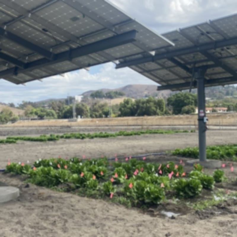 California Farm Combines Solar Panels With Soil Healing - Image 2