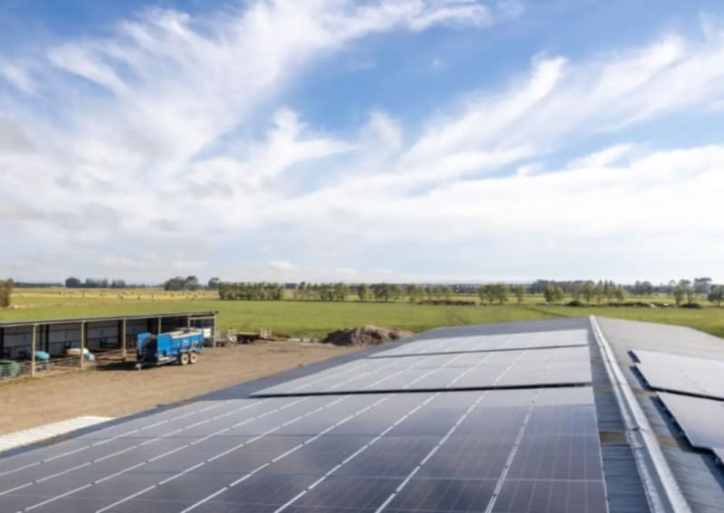 Solar panels installed on agricultural building roof with farmland visible in background