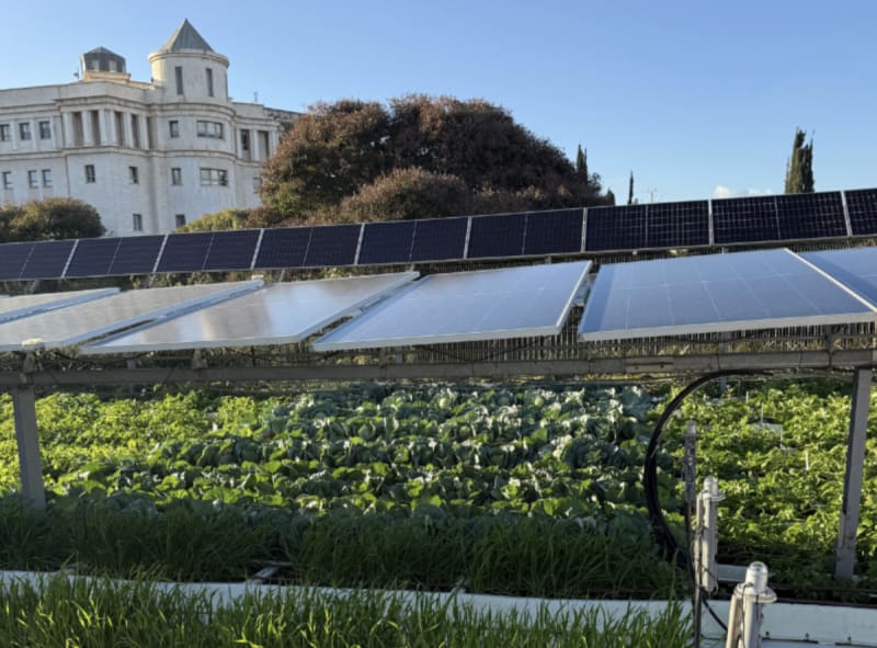 Israel Approves First National Rules for Solar Farms