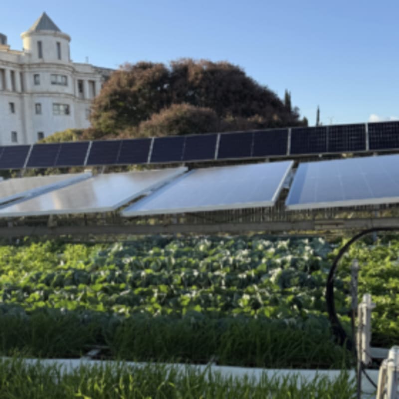 Israel Approves First National Rules for Solar Farms - Image 2