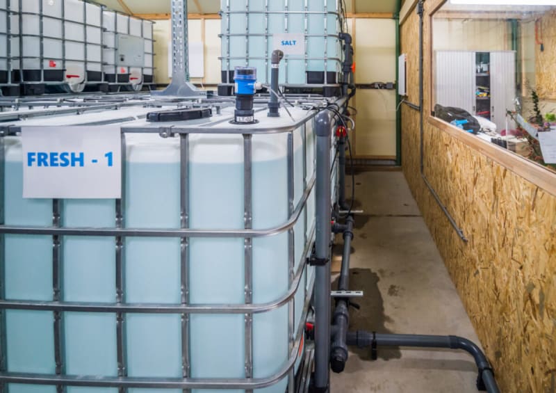 Netherlands Tests Multi-Day Energy Storage to Cut Waste
